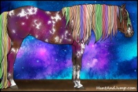 Horse Color:Painted White Spotted Silver Bay Rabicano 