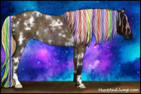 Horse Color:Painted White Spotted Midnight Silver Bay Roan Rabicano