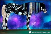Horse Color:Buckskin Ice Pearl Sabino Appaloosa Rabicano 