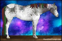 Horse Color:Painted White Spotted Midnight Buckskin Ice Dun Tobiano Rabicano 