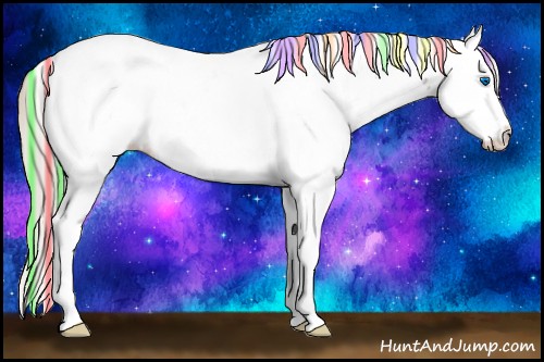 Horse Color:Painted White Spotted Silver Smoky Black Ice Splash Near Leopard Rabicano 