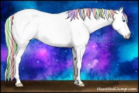Horse Color:Painted White Spotted Silver Smoky Black Ice Splash Near Leopard Rabicano 
