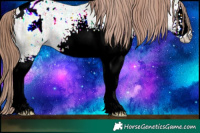 Horse Color:White Spotted Classic Champagne Ice Dun Tobiano Appaloosa Rabicano 