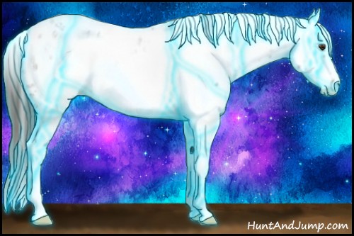 Horse Color:Thunderstruck White Spotted Liver Chestnut Ice Sabino Splash Frame Leopard Rabicano 