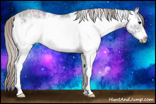 Horse Color:White Spotted Silver Black Ice Frame Rabicano 