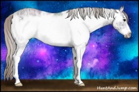 Horse Color:White Spotted Silver Black Ice Frame Rabicano 