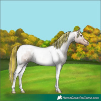 Horse Color:Painted White Spotted Chocolate Brown Dun Tobiano