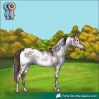 Horse Color:Platinum White Spotted Chocolate Brown Dun 