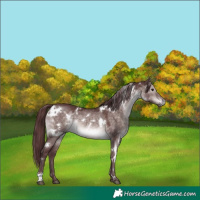 Horse Color:Platinum White Spotted Chocolate Brown Dun 