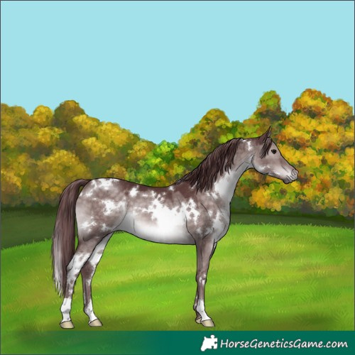 Horse Color:Platinum White Spotted Chocolate Brown Dun