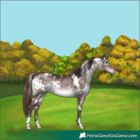 Horse Color:Platinum White Spotted Chocolate Brown Dun 