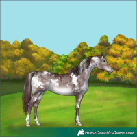 Horse Color:Platinum White Spotted Chocolate Brown Dun 