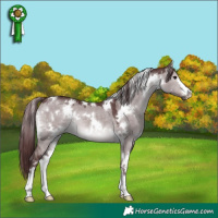 Horse Color:Platinum White Spotted Chocolate Brown Dun 