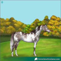 Horse Color:Platinum White Spotted Chocolate Brown Dun 