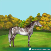 Horse Color:Platinum White Spotted Chocolate Brown Dun 