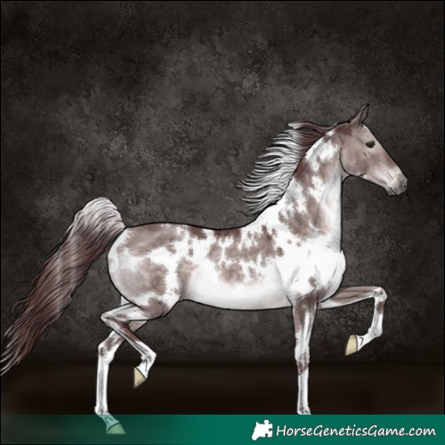 Horse Color:Platinum White Spotted Chocolate Brown Dun 