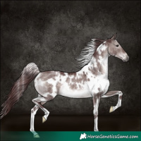 Horse Color:Platinum White Spotted Chocolate Brown Dun 