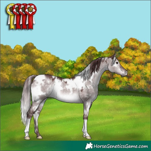 Horse Color:Platinum White Spotted Chocolate Brown Dun 