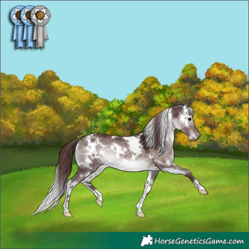 Horse Color:Platinum White Spotted Chocolate Brown Dun 