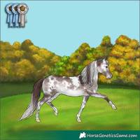 Horse Color:Platinum White Spotted Chocolate Brown Dun 