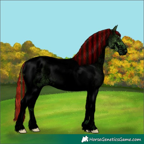 Horse Color:Void Painted Watercolor Grullo Ice Sabino Tobiano 