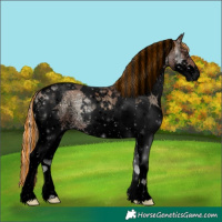 Horse Color:Void Painted Red Onyx Ice Sabino Splash Tobiano 