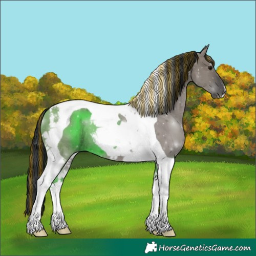 Horse Color:Painted Grullo Tobiano 