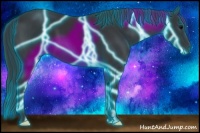 Horse Color:Thunderstruck Black 