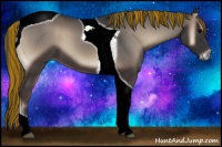 Horse Color:Painted Blue Onyx Tobiano 