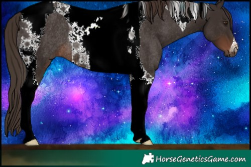 Horse Color:Liver Chestnut Tobiano Rabicano 