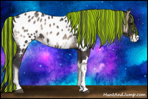 Horse Color:Painted Blue Onyx Near Leopard
