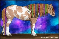 Horse Color:Painted White Spotted Gold Champagne