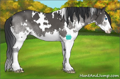 Horse Color:White Spotted Black Sabino Splash 