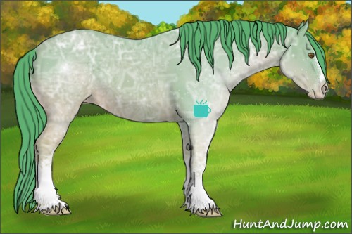 Horse Color:Watercolor White Spotted Chocolate Sable Champagne Ice Sabino Splash Appaloosa 