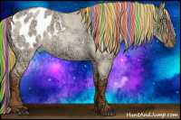 Horse Color:Painted Red Dun Ice Roan Appaloosa Rabicano