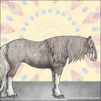 Horse Color:Silver Grullo Ice Sabino Splash 