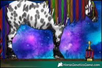 Horse Color:Painted Liver Red Ice Roan Near Leopard Rabicano 