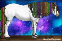 Horse Color:Painted White Spotted Liver Chestnut Ice Appaloosa 