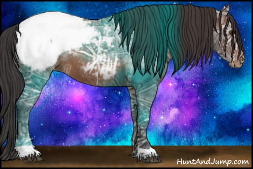 Horse Color:Brown Ice Appaloosa 