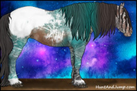 Horse Color:Brown Ice Appaloosa 