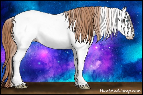 Horse Color:White Spotted Gold Champagne Ice Dun Sabino Appaloosa Rabicano 