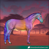 Horse Color:Watercolor Bay 