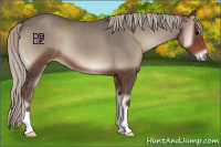 Horse Color:Silver Blue Onyx 
