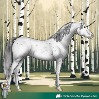 Horse Color:Brown Sabino Splash 