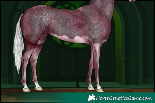 Horse Color:Silver Black Chinchilla Ice Splash 