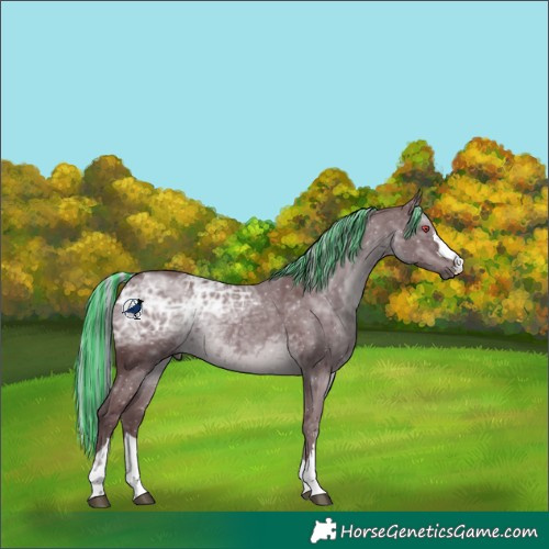 Horse Color:Painted Chocolate Silver Black Chinchilla Ice 
