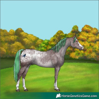 Horse Color:Painted Chocolate Silver Black Chinchilla Ice 