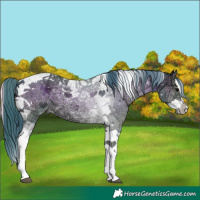 Horse Color:Watercolor Blue Onyx Ice Splash Tobiano