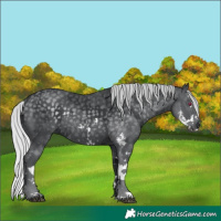 Horse Color:Silver Black Chinchilla Sabino Splash Rabicano 
