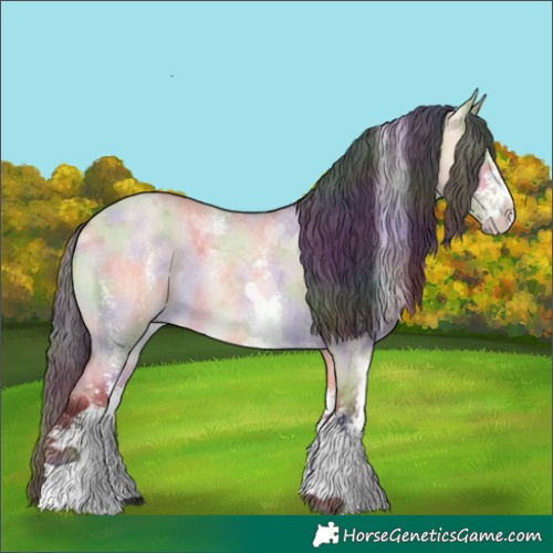 Horse Color:Nacre Bay Roan Dun Sabino 